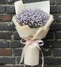 Букет цветов из:  Гипсофила #REPLACE_PRED# Ногинск-5