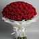 Букет 101 Красная роза Блэк Мэджик в Ногинск-5