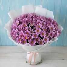 Букет цветов из:  Хризантемы в Ногинск-5