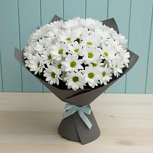 Букет цветов из:  Хризантемы в Ногинск-5