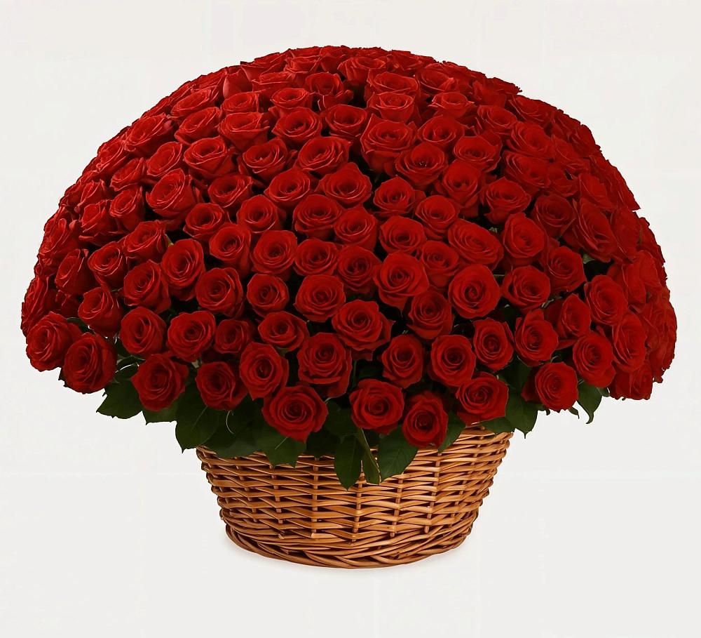 Премиум букет из: Розы в Ногинск-5