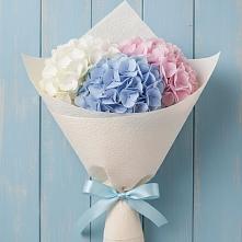 Букет цветов из:  Гортензия в Ногинск-5