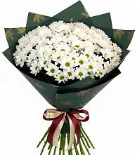 Букет цветов из:  Хризантемы в Ногинск-5