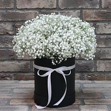Цветочная композиция из Гипсофила в шляпной коробке в Ногинск-5