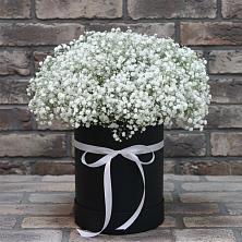 Цветочная композиция из Гипсофила в шляпной коробке в Ногинск-5