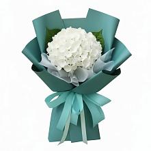 Букет цветов из:  Гортензия в Ногинск-5